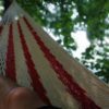 red net hammock at zurisee