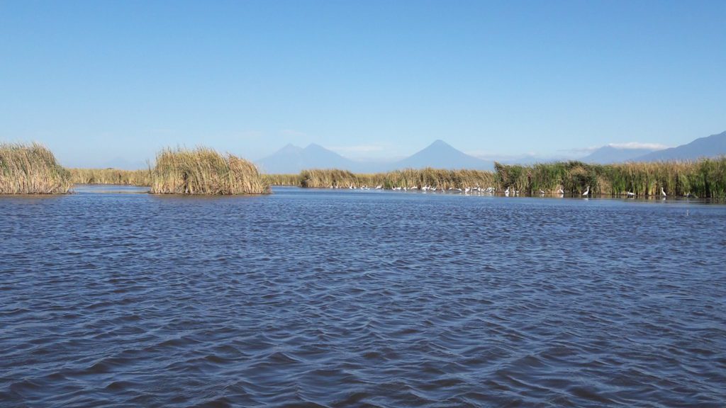 Manglares of Monterrico—volcano in background early morning