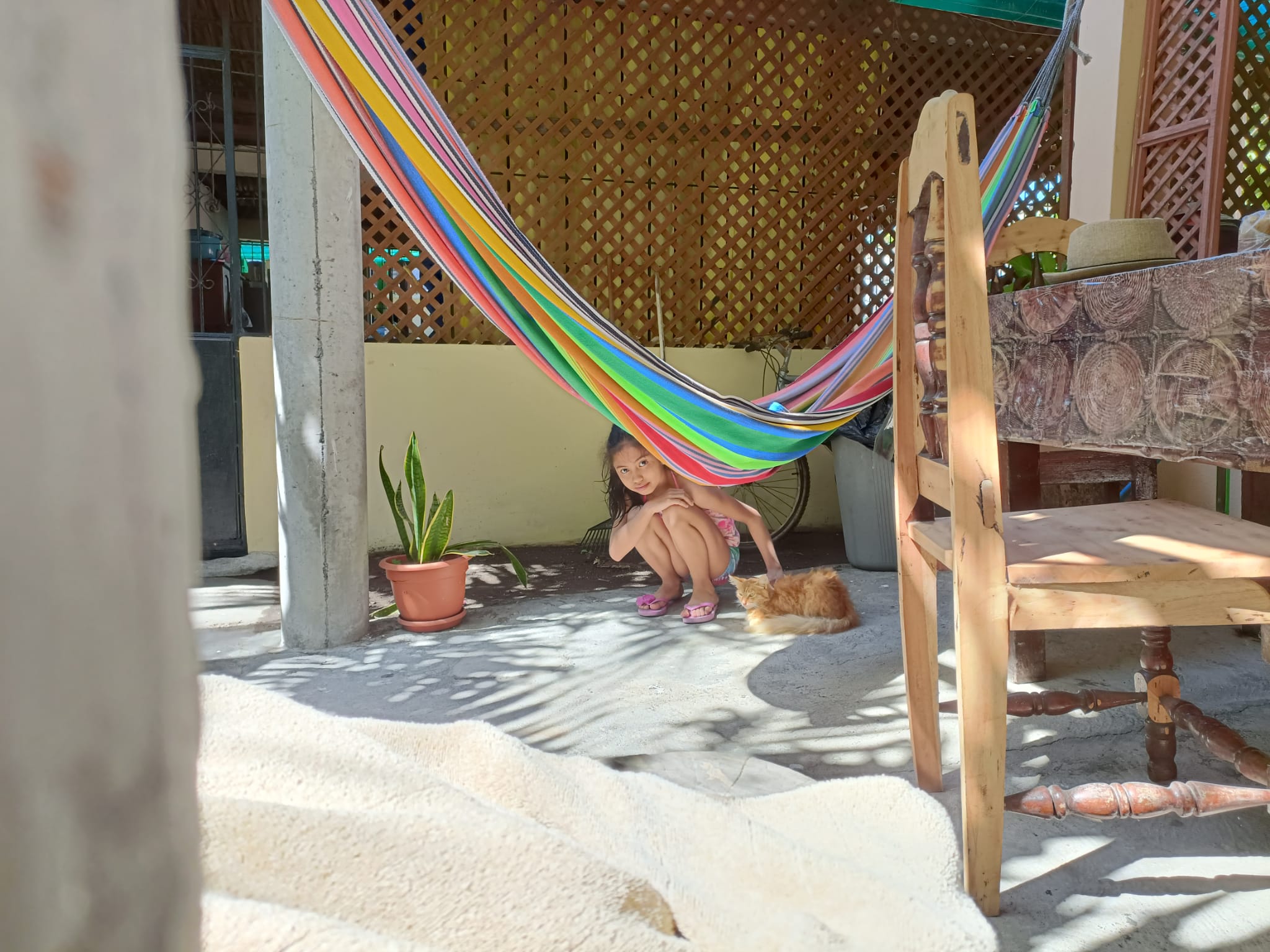 a cat and a little girl looking at the camera from behind a colorfull hammock - Monterrico guatemala 2024